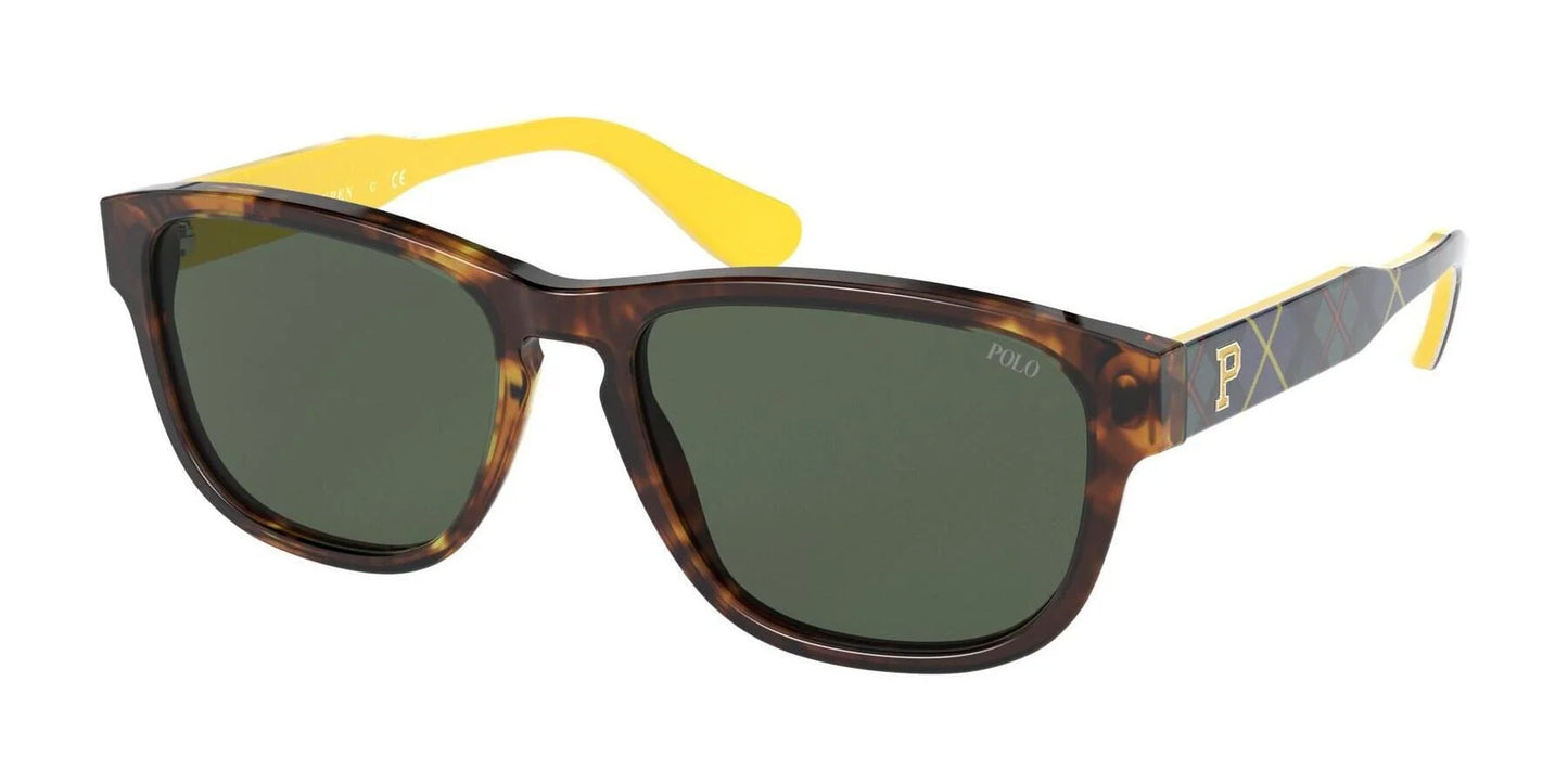 Polo PH4158 Sunglasses Shiny New Jerry Tortoise / Green