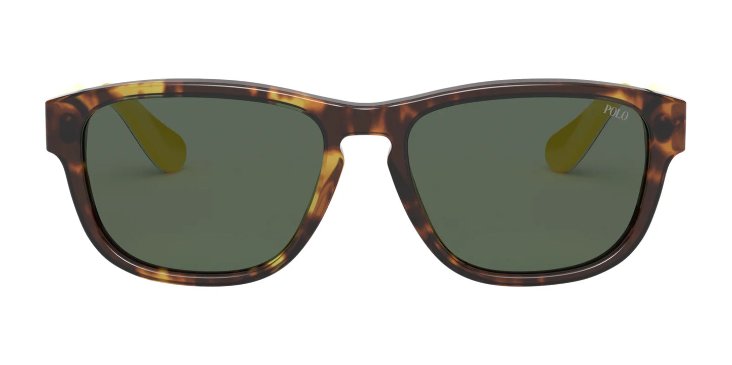 Polo PH4158 Sunglasses | Size 55