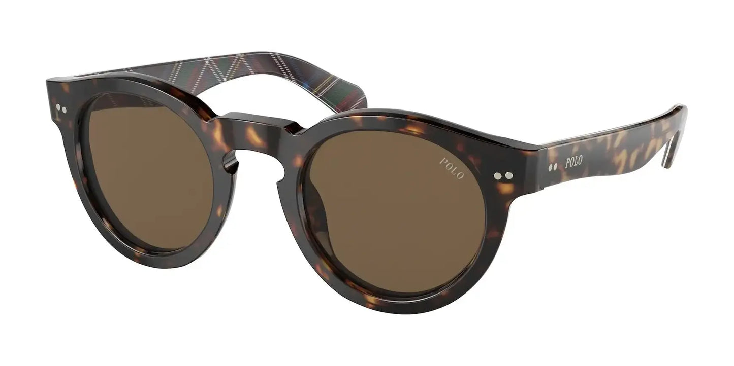 Polo PH4165 Sunglasses Shiny Dark Havana / Brown