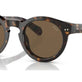 Shiny Dark Havana №500373