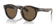 Polo PH4165 Sunglasses Shiny Dark Havana / Brown