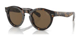 Polo PH4165 Sunglasses Shiny Dark Havana / Brown