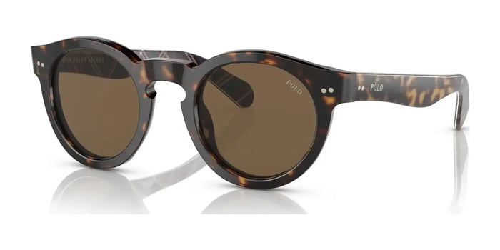 Polo PH4165 Sunglasses | Size 46 / Shiny Dark Havana №500373 / Brown (3N 14.5%)