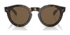 Polo PH4165 Sunglasses | Size 46 / Shiny Dark Havana №500373 / Brown (3N 14.5%)