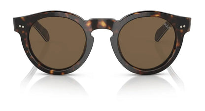 Polo PH4165 Sunglasses | Size 46