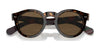 Polo PH4165 Sunglasses | Size 46 / Shiny Dark Havana №500373 / Brown (3N 14.5%)