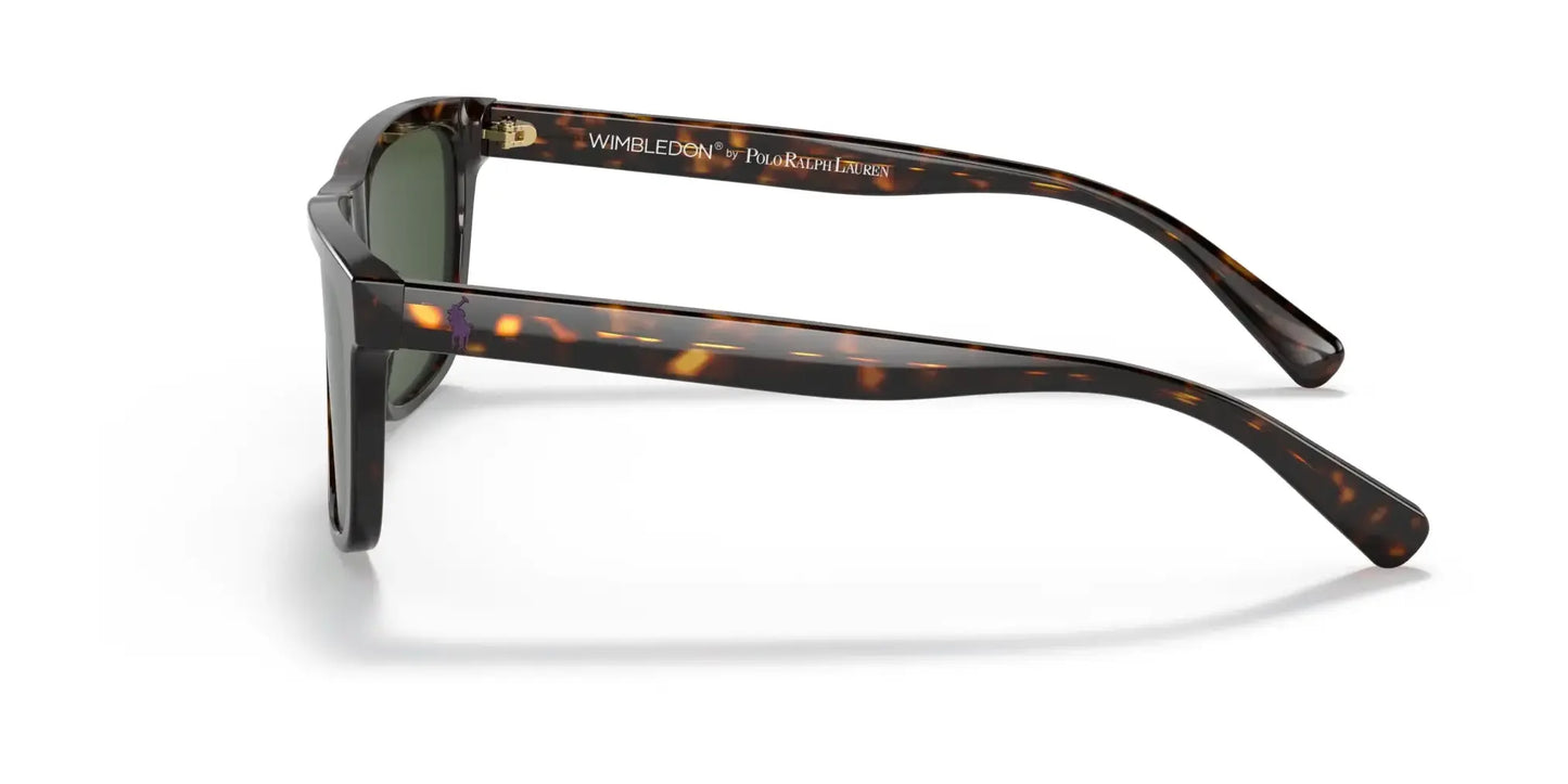 Polo PH4167 Sunglasses | Size 56