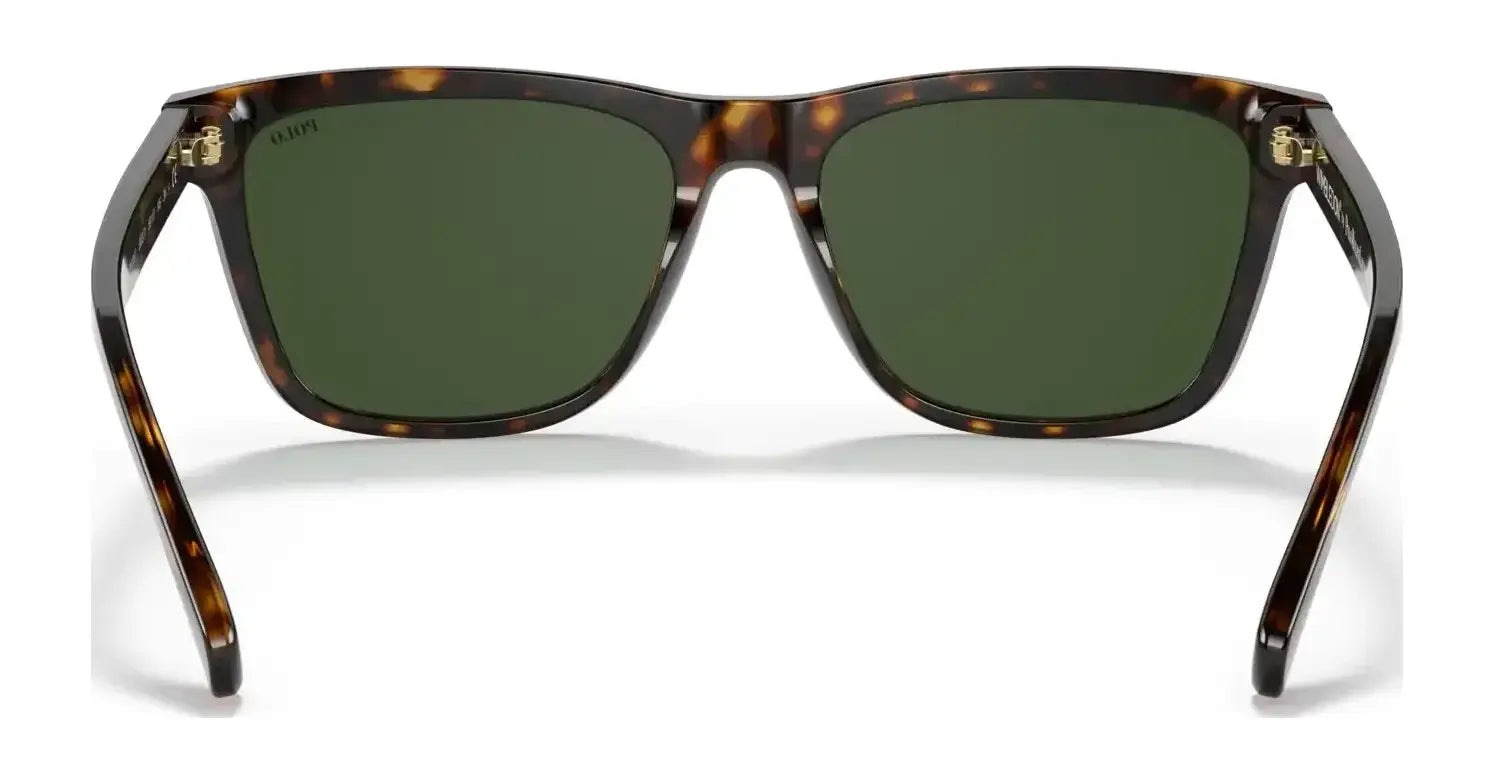 Polo PH4167 Sunglasses | Size 56