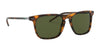 Polo PH4168 Sunglasses | Size 53 / Shiny Jerry Havana №501771 / Bottle Green (3N 9.4%)