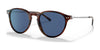 Polo PH4169 Sunglasses | Size 51 / Shiny Striped Havana №500780 / Dark Blue (3N 15.2%)