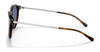 Polo PH4169 Sunglasses | Size 51 / Shiny Striped Havana №500780 / Dark Blue (3N 15.2%)