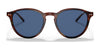Polo PH4169 Sunglasses | Size 51 / Shiny Striped Havana №500780 / Dark Blue (3N 15.2%)