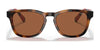 Polo PH4170 Sunglasses | Size 53 / Shiny Jc Tortoise / Brown (3N 15.3%) №530373
