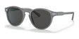 Polo PH4172 Sunglasses Matte Transparent Dark Grey / Dark Grey