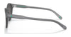 Polo PH4172 Sunglasses | Size 50 / Matte Transparent Dark Grey №595387 / Dark Grey (3N 10.1%)