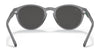 Polo PH4172 Sunglasses | Size 50 / Matte Transparent Dark Grey №595387 / Dark Grey (3N 10.1%)