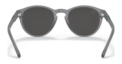 Polo PH4172 Sunglasses | Size 50