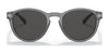 Polo PH4172 Sunglasses | Size 50 / Matte Transparent Dark Grey №595387 / Dark Grey (3N 10.1%)