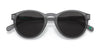 Polo PH4172 Sunglasses | Size 50 / Matte Transparent Dark Grey №595387 / Dark Grey (3N 10.1%)