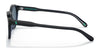 Polo PH4172 Sunglasses | Size 50 / Matte Transparent Dark Grey №595387 / Dark Grey (3N 10.1%)