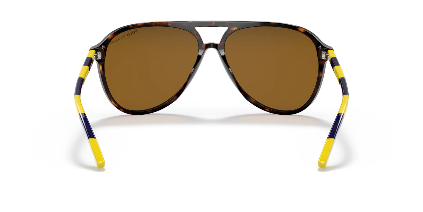 Polo PH4173 Sunglasses | Size 59