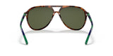 Polo PH4173 Sunglasses | Size 59