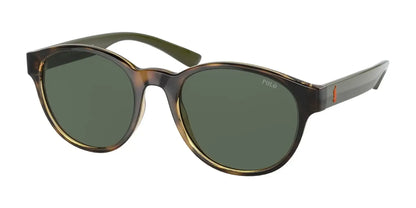 Polo PH4176 Sunglasses Shiny Havana / Dark Green
