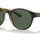 Shiny Havana №500371
