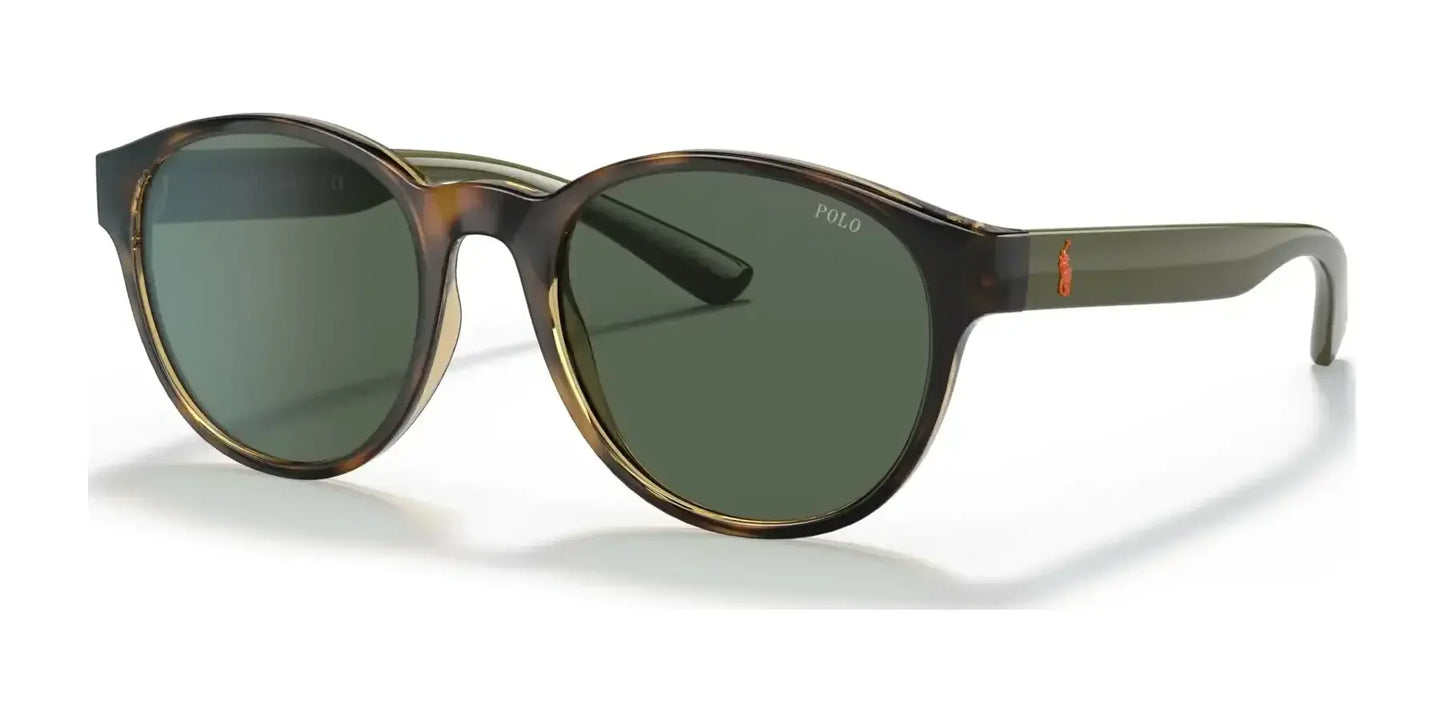 Polo PH4176 Sunglasses Shiny Havana / Dark Green