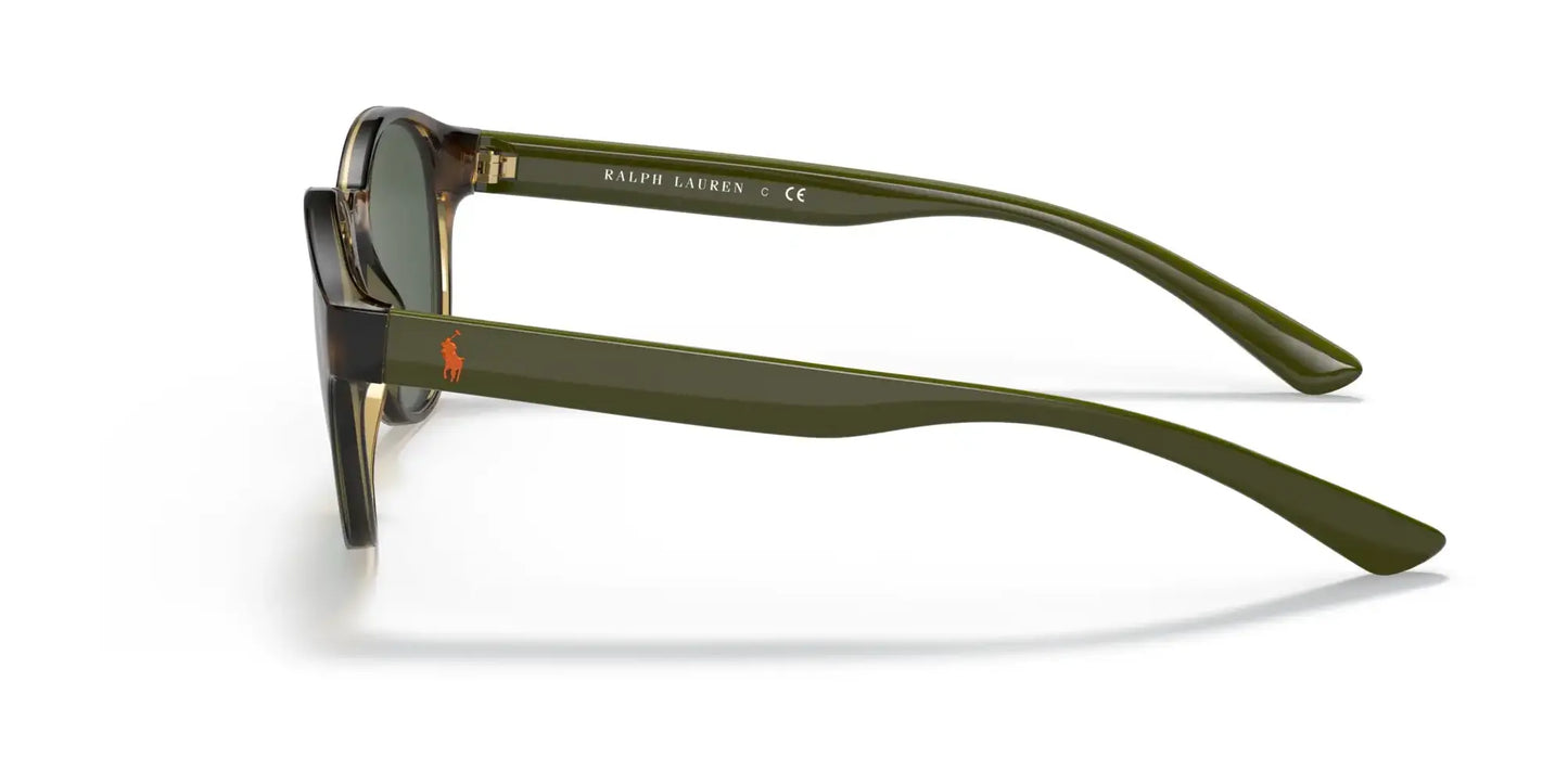 Polo PH4176 Sunglasses | Size 51