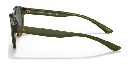 Polo PH4176 Sunglasses | Size 51