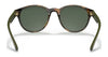 Polo PH4176 Sunglasses | Size 51 / Shiny Havana №500371 / Dark Green (3N 14%)