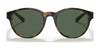 Polo PH4176 Sunglasses | Size 51 / Shiny Havana №500371 / Dark Green (3N 14%)