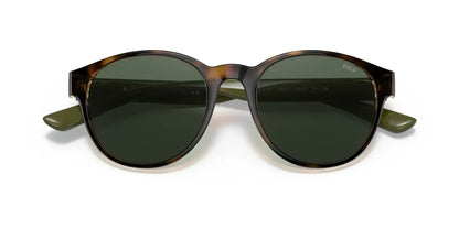 Polo PH4176 Sunglasses | Size 51