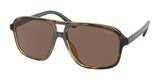 Polo PH4177U Sunglasses Shiny Havana / Brown