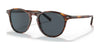 Polo PH4181 Sunglasses | Size 51 / Shiny Striped Havana / Dark Grey (3N 13%) №500787