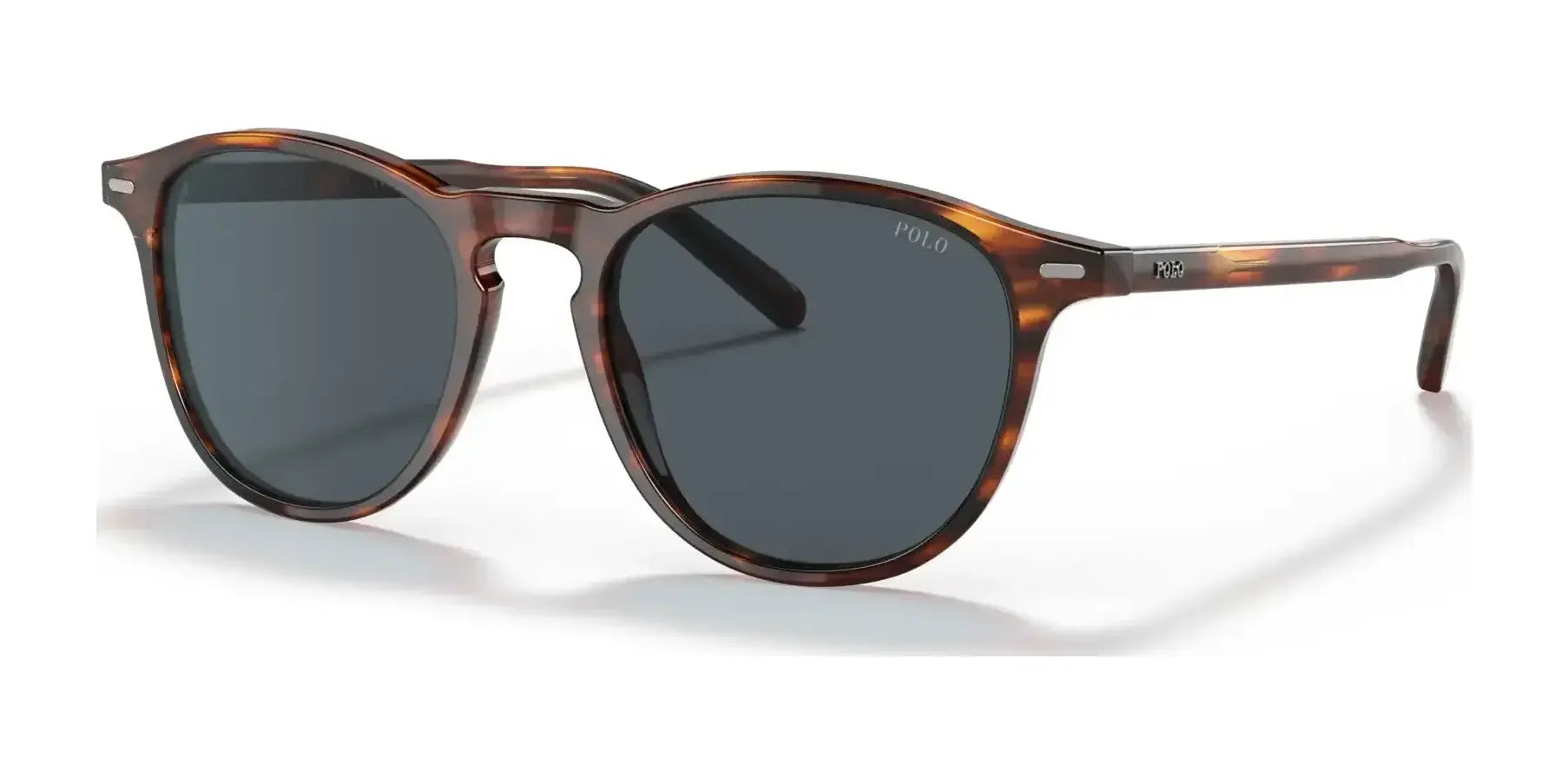 Polo PH4181 Sunglasses Shiny Striped Havana / Dark Grey