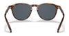 Polo PH4181 Sunglasses | Size 51 / Shiny Striped Havana / Dark Grey (3N 13%) №500787