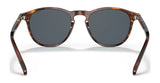 Polo PH4181 Sunglasses | Size 51