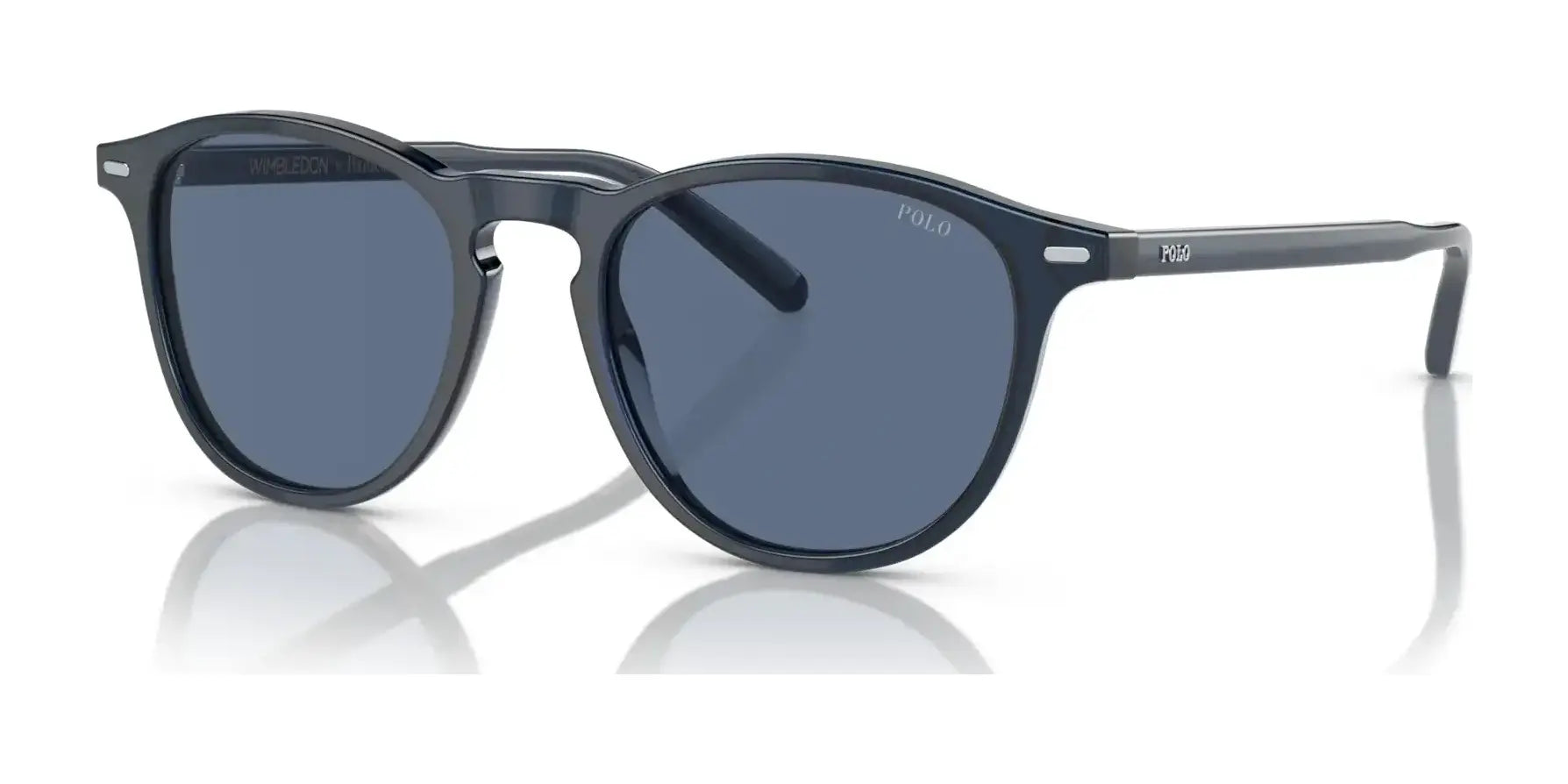 Polo PH4181 Sunglasses Shiny Transparent Navy Blue / Blue