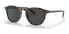 Polo PH4181F Sunglasses | Size 53 / Shiny Dark Havana №500387 / Dark Grey (3N 10%)
