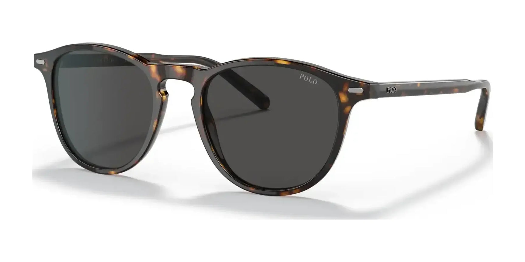 Polo PH4181F Sunglasses Shiny Dark Havana / Dark Grey