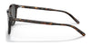 Polo PH4181F Sunglasses | Size 53 / Shiny Dark Havana №500387 / Dark Grey (3N 10%)
