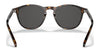 Polo PH4181F Sunglasses | Size 53 / Shiny Dark Havana №500387 / Dark Grey (3N 10%)