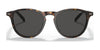Polo PH4181F Sunglasses | Size 53 / Shiny Dark Havana №500387 / Dark Grey (3N 10%)