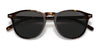Polo PH4181F Sunglasses | Size 53 / Shiny Dark Havana №500387 / Dark Grey (3N 10%)