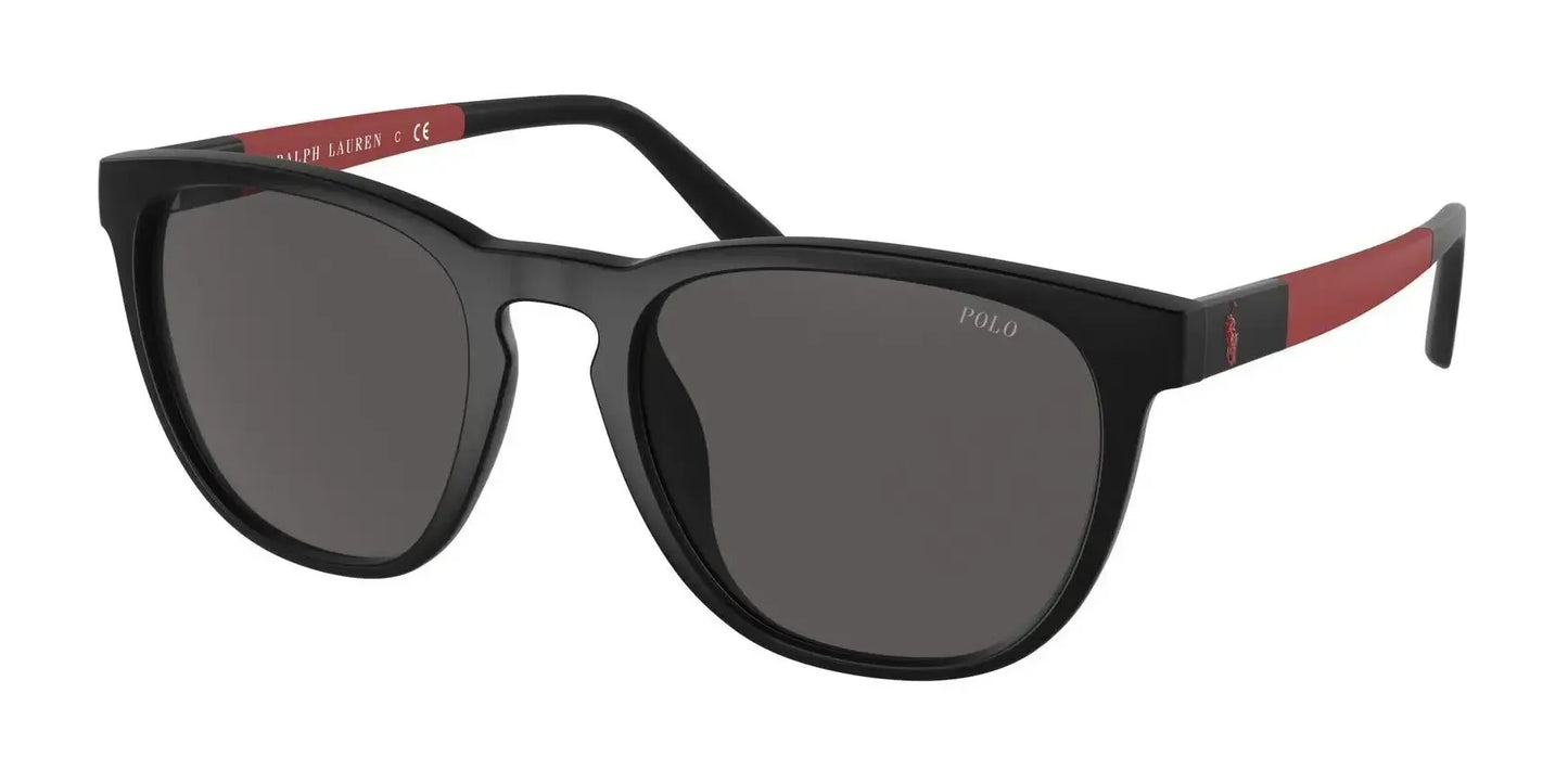 Polo PH4182U Sunglasses Matte Black / Dark Grey