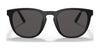 Polo PH4182U Sunglasses | Size 53 / Matte Black №528487 / Dark Grey (3N 9.9%)
