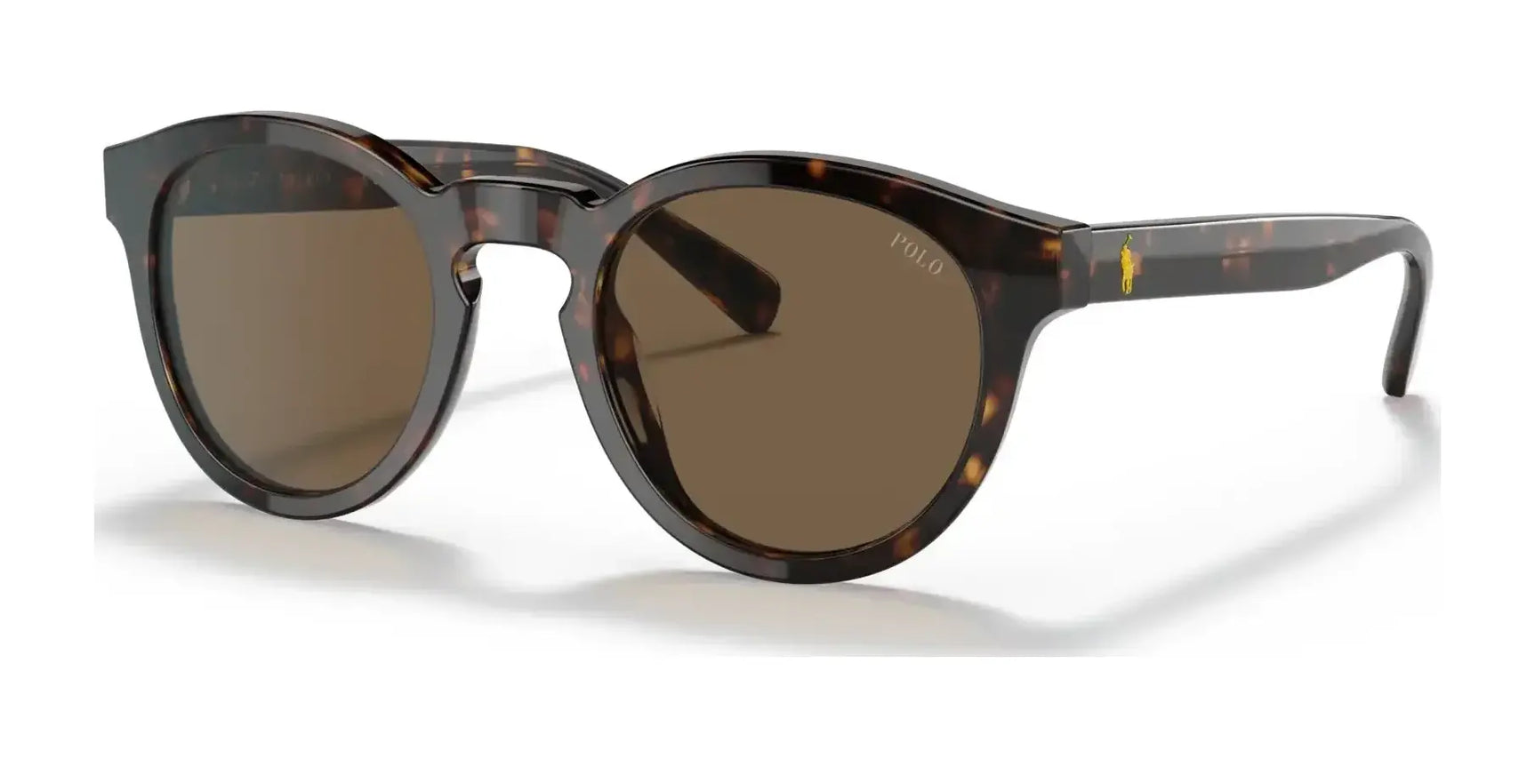 Polo PH4184F Sunglasses Shiny Dark Havana / Brown
