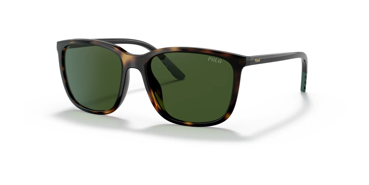 Polo PH4185U Sunglasses Shiny Havana / Dark Green